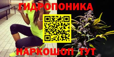 прущий лед Славгород