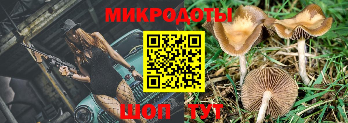 Псилоцибиновые грибы мицелий Новосибирск