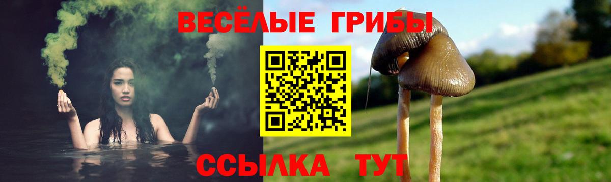 Новосибирск  Псилоцибиновые грибы Cubensis  Вход с VPN 